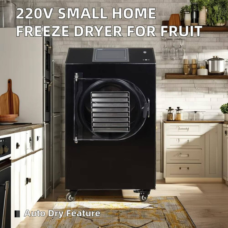 Automatic PLC-Controlled Dryin - Dried Fruit review and price