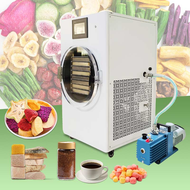 Small Freeze Mini Liofilizador - Dried Fruit review and price